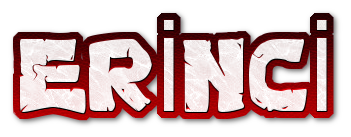Erinci Logo